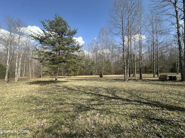 view of yard with a forest view