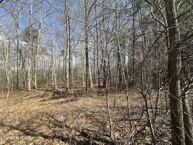 view of local wilderness with a wooded view