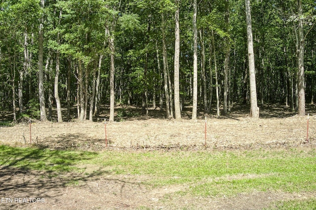 1169 Terry Ln, Jamestown, TN 38556 - view of local wilderness