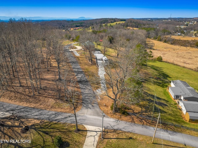 285 Redwood Dr, Dandridge, TN 37725 - view from above of property