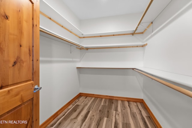 285 Redwood Dr, Dandridge, TN 37725 - walk in closet featuring light wood-type flooring