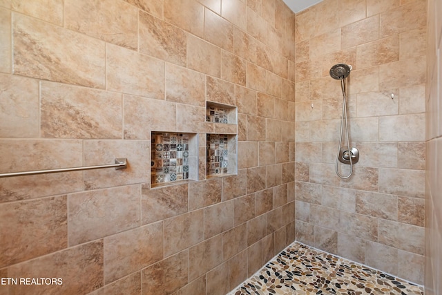 285 Redwood Dr, Dandridge, TN 37725 - full bath with a tile shower