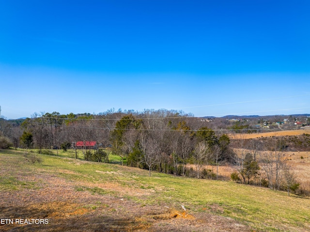 285 Redwood Dr, Dandridge, TN 37725 - view of yard featuring a view of rural / pastoral area