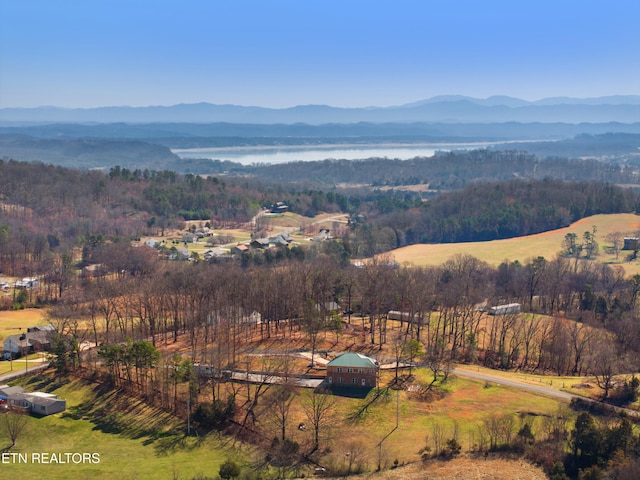 285 Redwood Dr, Dandridge, TN 37725 - view of mountain backdrop featuring a nearby body of water