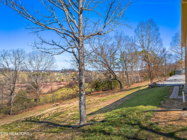 285 Redwood Dr, Dandridge, TN 37725 - view of green lawn