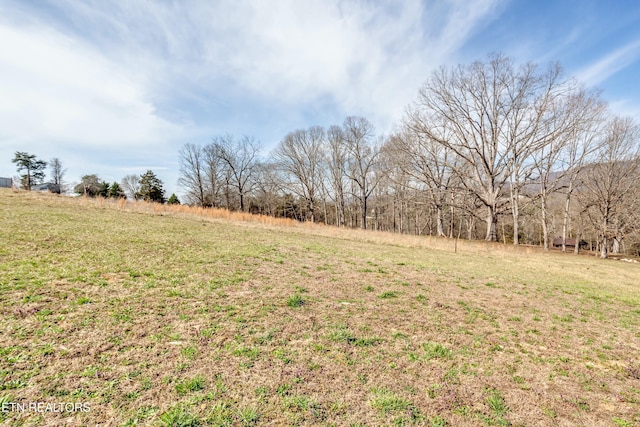 view of yard featuring a rural view