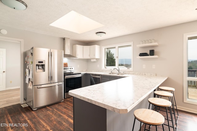 kitchen with a sink, a peninsula, appliances with stainless steel finishes, a skylight, and wall chimney range hood