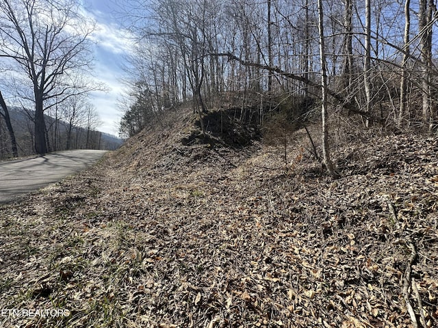 TBD Cave Springs Road, Dryden, VA 24243