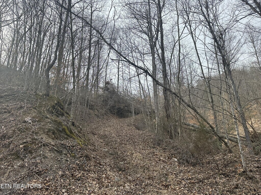 TBD Cave Springs Road, Dryden, VA 24243