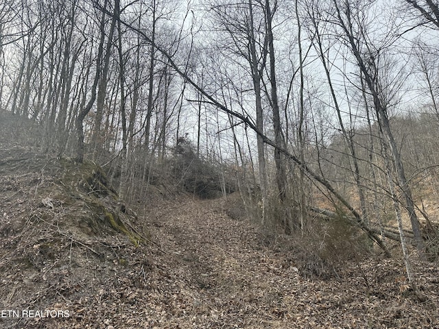 TBD Cave Springs Road, Dryden, VA 24243