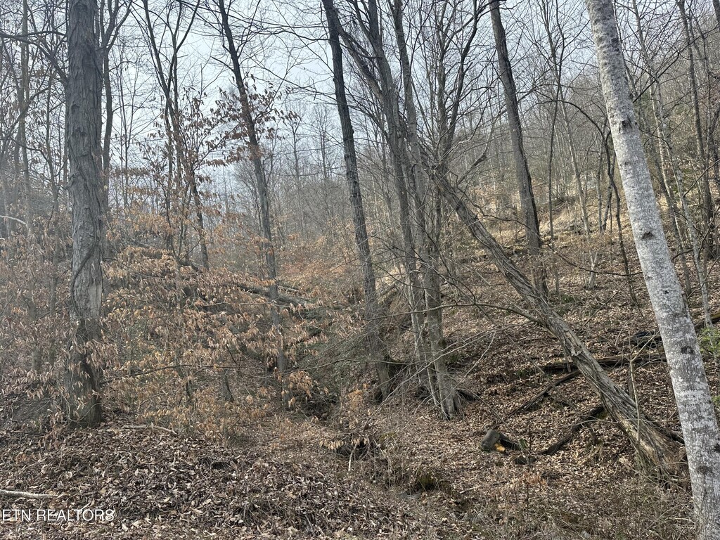 TBD Cave Springs Road, Dryden, VA 24243