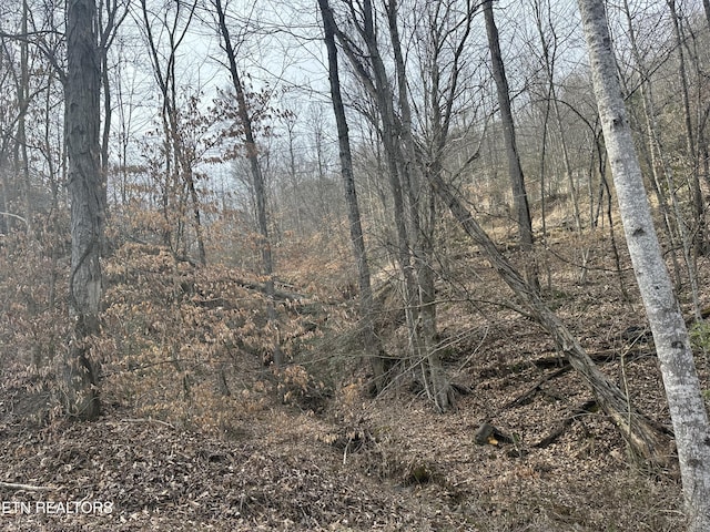 TBD Cave Springs Road, Dryden, VA 24243