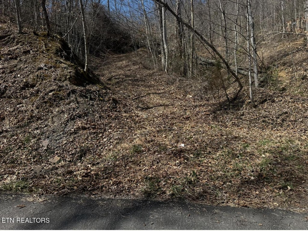 TBD Cave Springs Road, Dryden, VA 24243