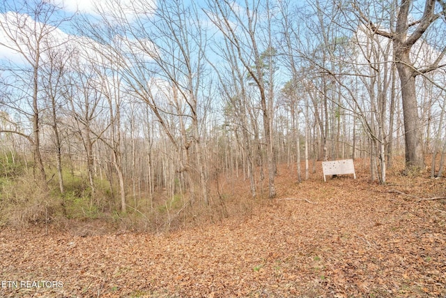 view of local wilderness