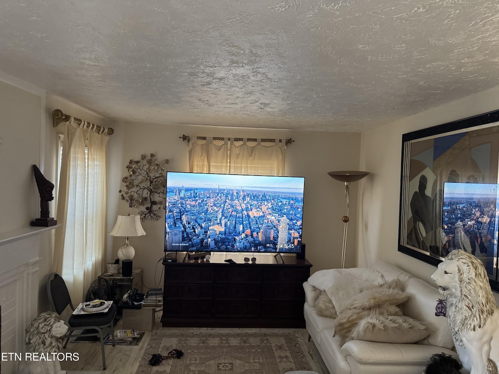 living area with a wealth of natural light and a textured ceiling