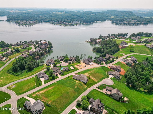 15848 Lighthouse Pointe Dr, Lenoir City, TN 37772 - photo 8