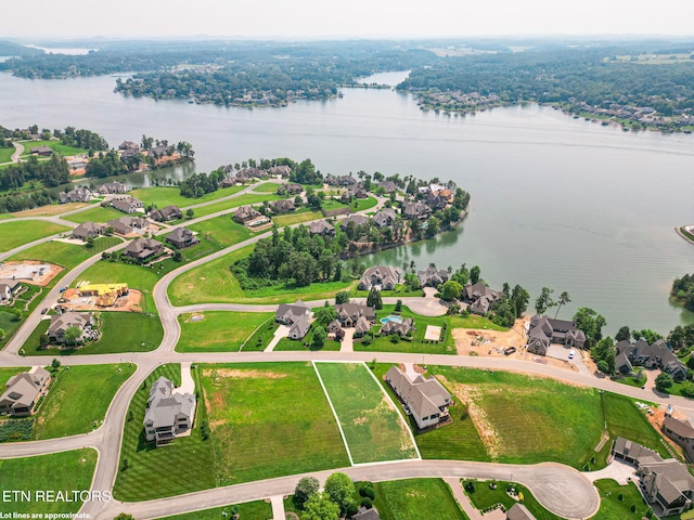 15848 Lighthouse Pointe Dr, Lenoir City, TN 37772 - photo 11