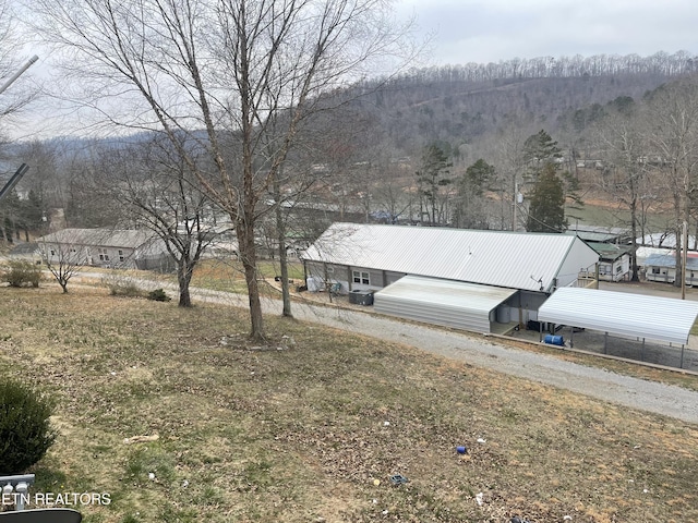 view of yard with driveway and a view of trees