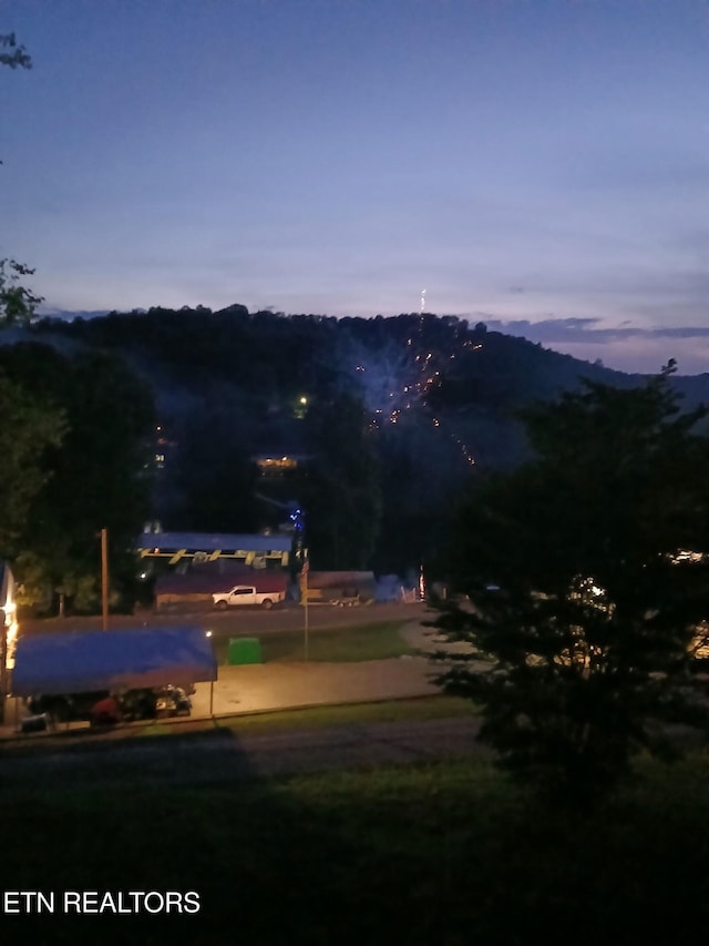 210 Last Lz Ln, Speedwell, TN 37870 - view of home's community