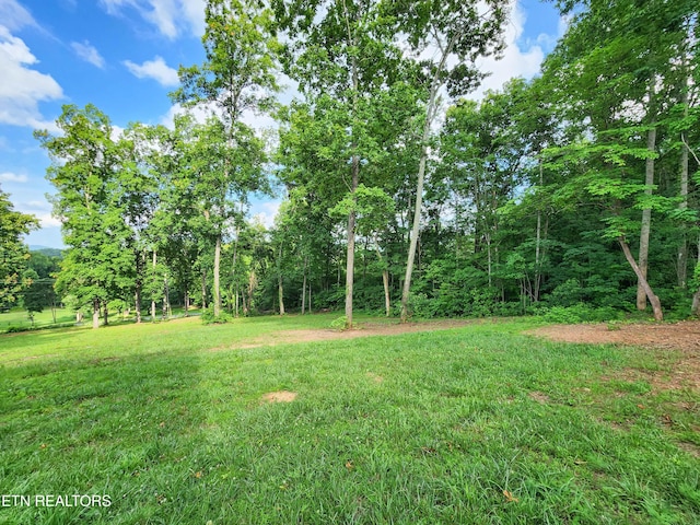 553 Hickory Pointe Ln, Maynardville, TN 37807 - view of grassy yard