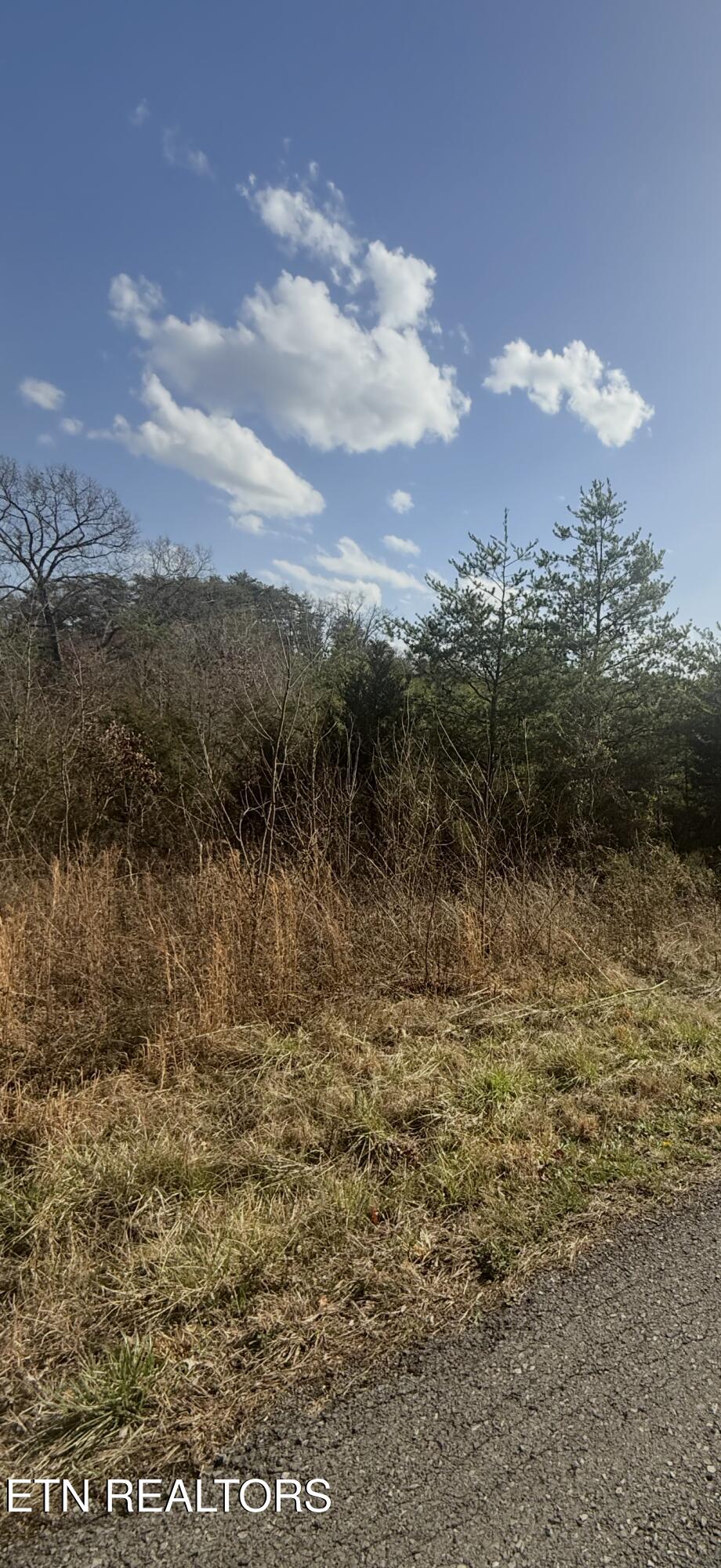 Friends Station Rd, New Market, TN 37820
