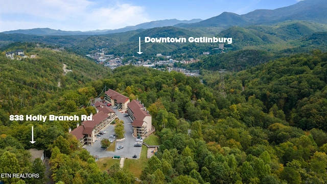 birds eye view of property featuring a forest view and a mountain view