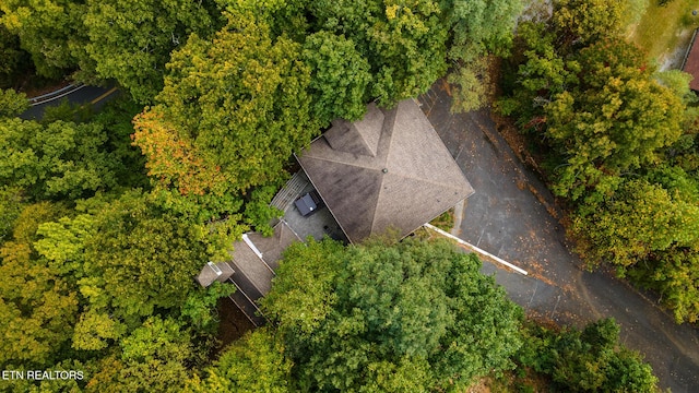 bird's eye view