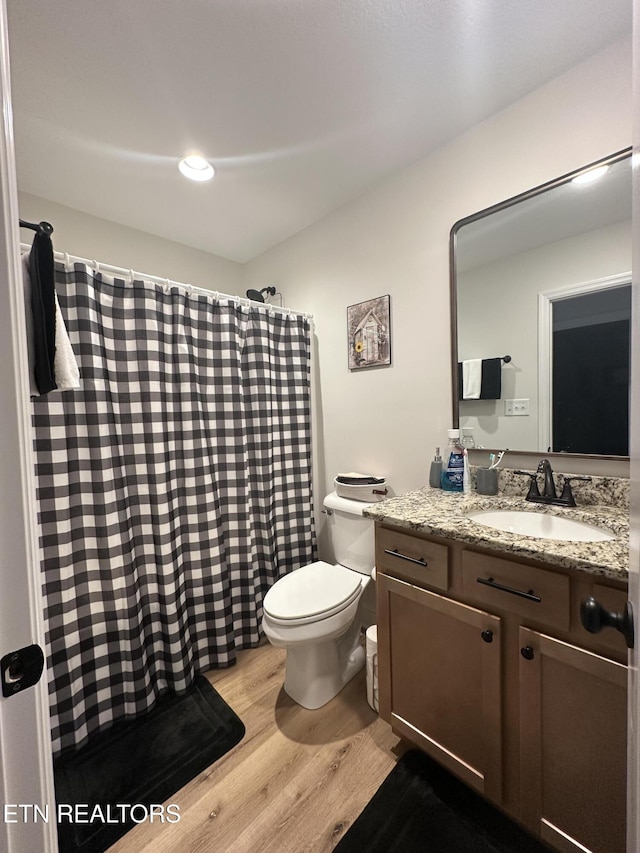 bathroom featuring a shower with shower curtain, toilet, wood finished floors, and vanity
