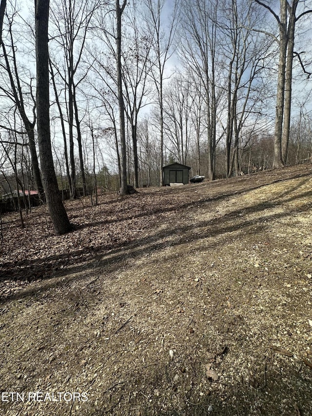 view of yard with a storage shed and an outdoor structure