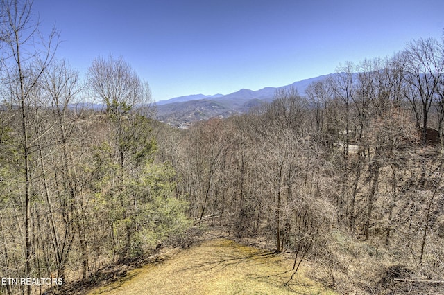940 Stans Rd, Gatlinburg, TN 37738 - mountain view featuring a forest view