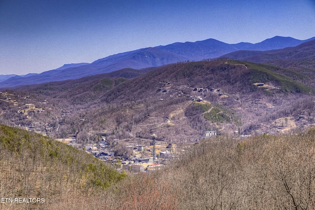 940 Stans Rd, Gatlinburg, TN 37738 - property view of mountains