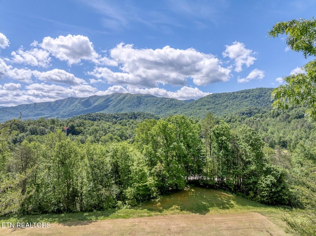 413 Settlers Rise Rd, Townsend, TN 37882 - view of mountain background with a forest