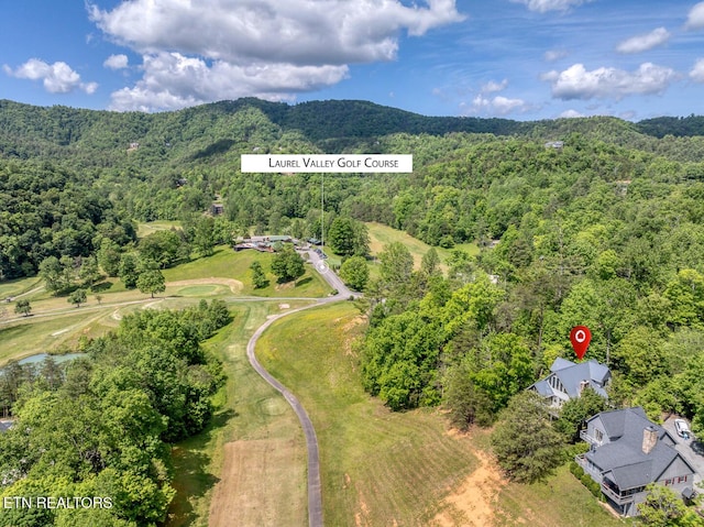 413 Settlers Rise Rd, Townsend, TN 37882 - bird's eye view of a heavily wooded area and a water and mountain view
