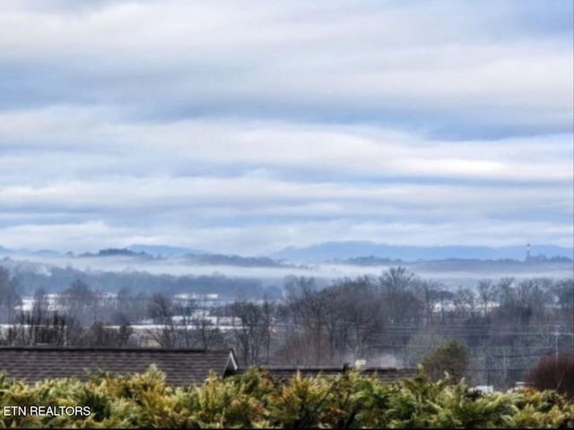 view of mountain feature