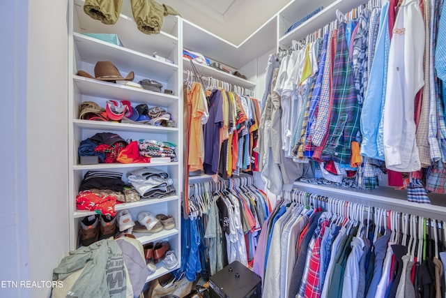231 Gwinhurst Rd, Knoxville, TN 37934 - view of walk in closet