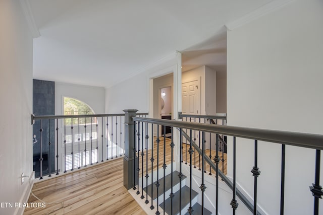 231 Gwinhurst Rd, Knoxville, TN 37934 - corridor featuring ornamental molding, an upstairs landing, and wood finished floors