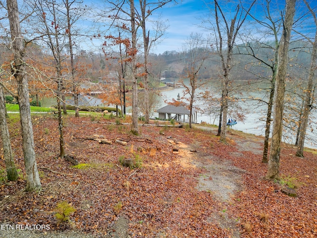 927 Windridge Rd, Friendsville, TN 37737