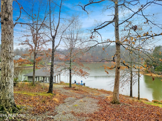 927 Windridge Rd, Friendsville, TN 37737