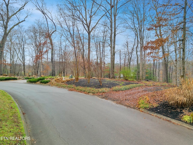 927 Windridge Rd, Friendsville, TN 37737
