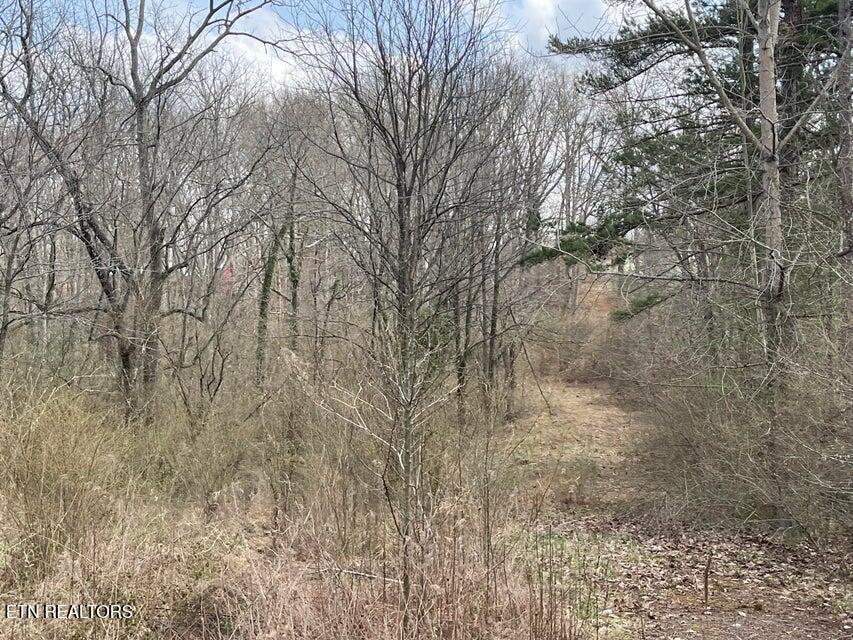 01 Livesay St, Crossville, TN 38555 - photo 1