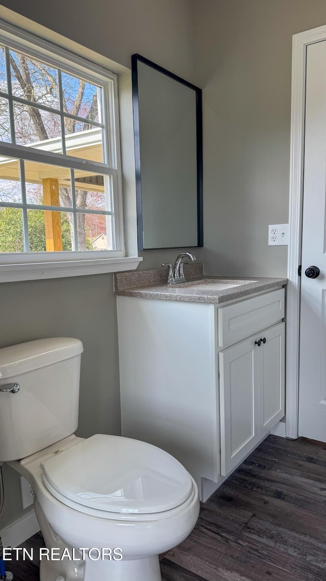 bathroom featuring toilet, vanity, and wood finished floors