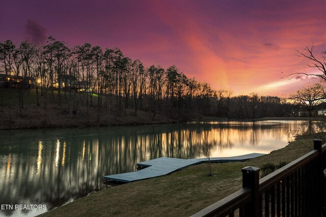 1035 Panther Creek Rd, Morristown, TN 37814 - photo 41