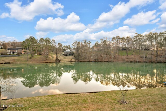 1035 Panther Creek Rd, Morristown, TN 37814 - photo 40