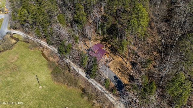 aerial view
