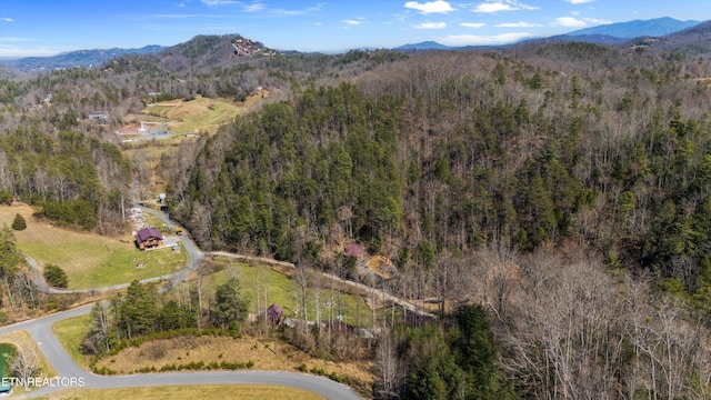 drone / aerial view featuring a wooded view and a mountain view