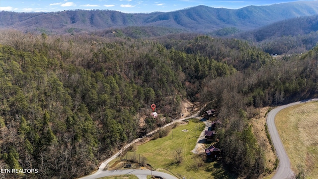 bird's eye view featuring a mountain view and a view of trees