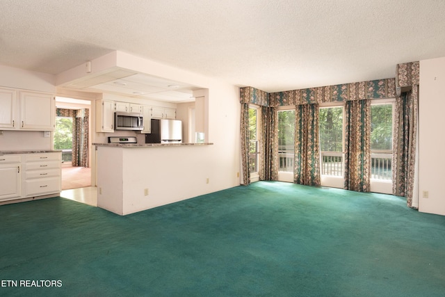 123 Manor Rd, Clinton, TN 37716 - unfurnished living room featuring carpet floors and a textured ceiling