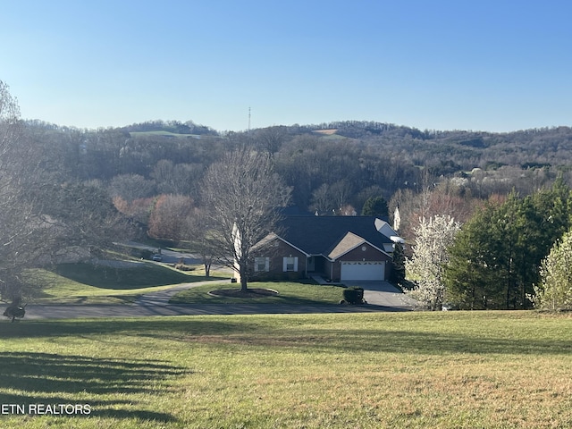 2440 Whisper Creek Dr, Friendsville, TN 37737 - photo 10