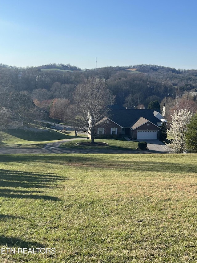 2440 Whisper Creek Dr, Friendsville, TN 37737 - photo 7