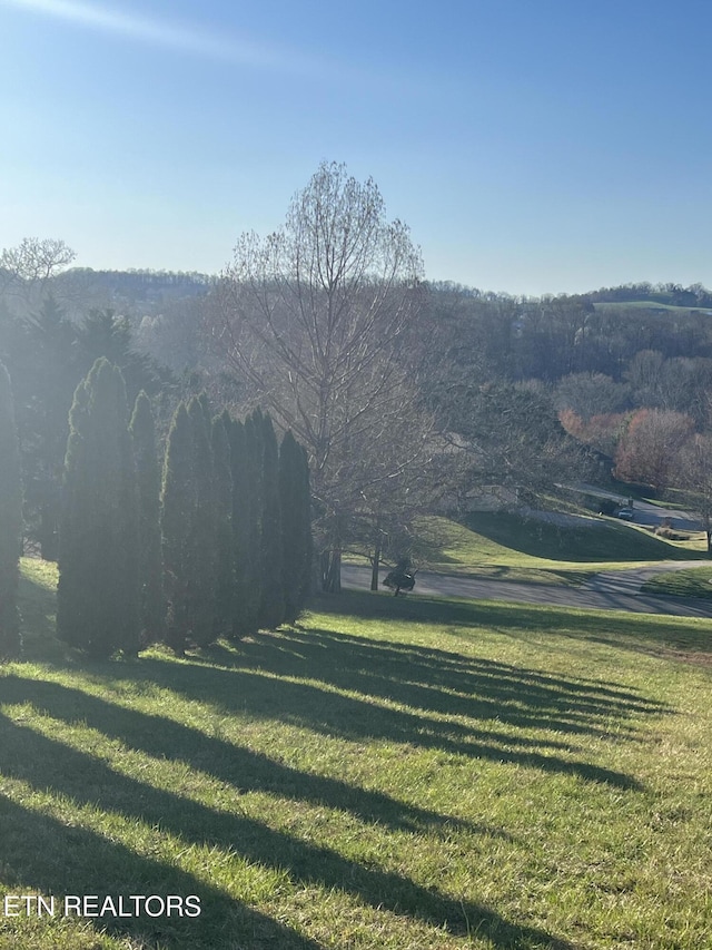 2440 Whisper Creek Dr, Friendsville, TN 37737 - photo 9